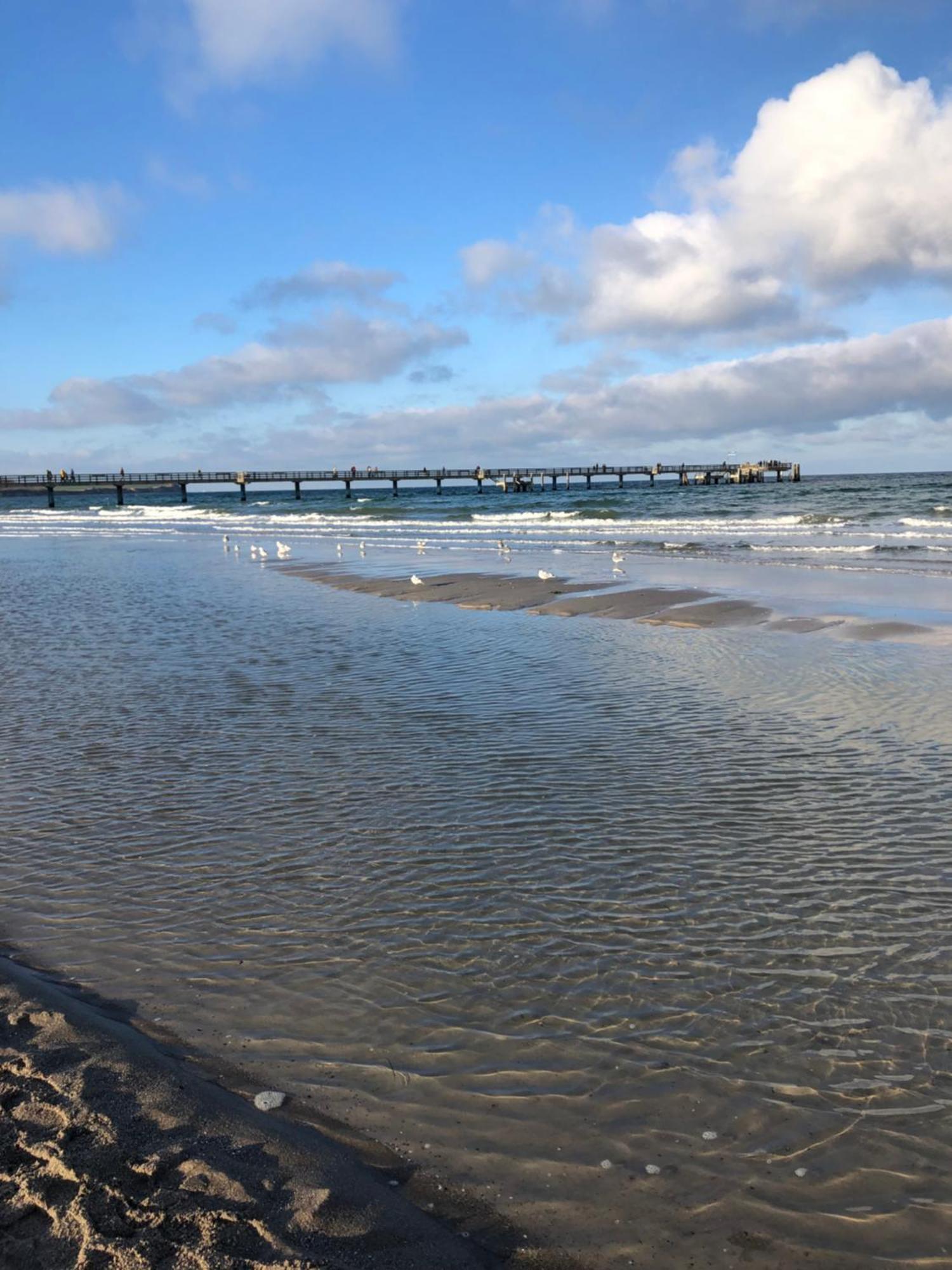 Strandvilla Waldhaus Boltenhagen Kültér fotó